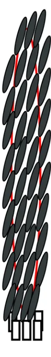 Figure 1.9 An illustrative demonstration of a phage assembly. The thin eclipse in red represents the circular viral DNA, whereas the small eclipses in dark gray represent the main coat protein subunits