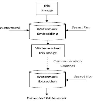 Fig .1 Diagrams of the application scenario of using iris template as water mark for securing iris template transmission