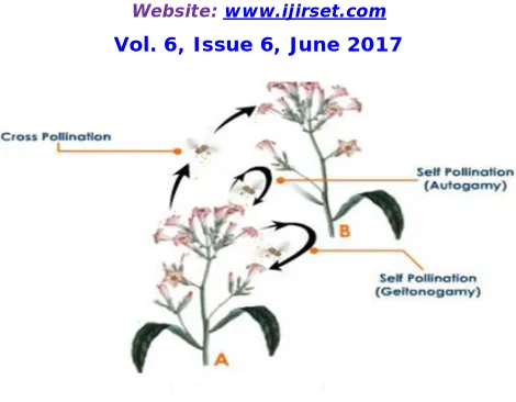 Figure 3 self pollination 