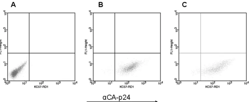 FIG. 2. 2D gel analysis of HIV-1-infected PM1 cells. A representative Cy2 image of a 2D gel of PM1 cells at the peak of a regular infectionis shown
