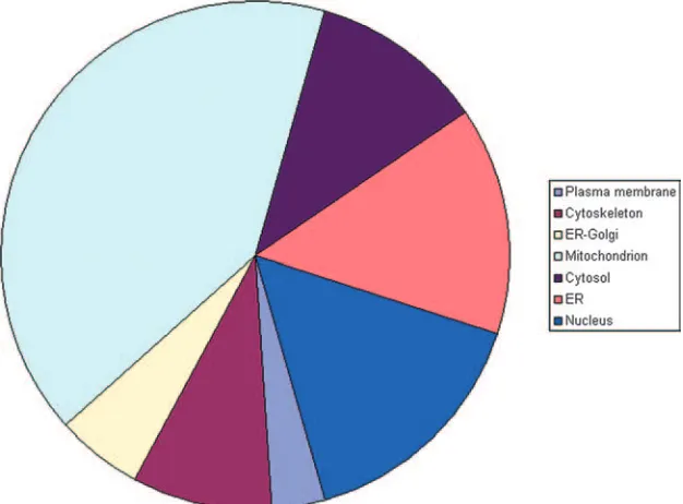 FIG. 3. Locations of differentially expressed PM1 proteins. The overall contribution of different cellular locations to the differentially expressedPM1 proteins upon HIV-1 peak infection, as determined using GoMiner, is displayed.