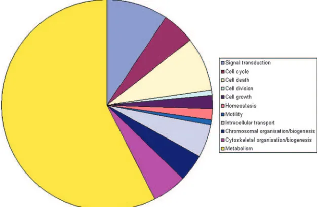 FIG. 4. Gene ontology analyses of differentially expressed PM1 proteins. The contributions of the main cellular process categories representedby differentially expressed PM1 proteins upon HIV-1 peak infection as determined, using GoMiner, are displayed.