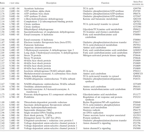TABLE 1. mt proteins upregulated upon HIV-1 infection