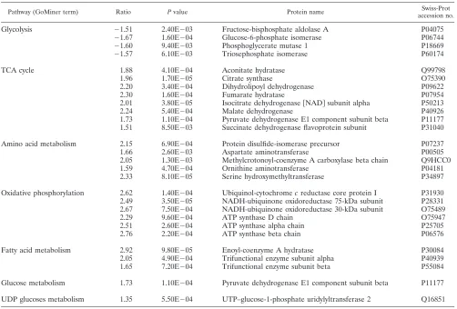 TABLE 2. Differentially expressed proteins grouped by metabolic pathway