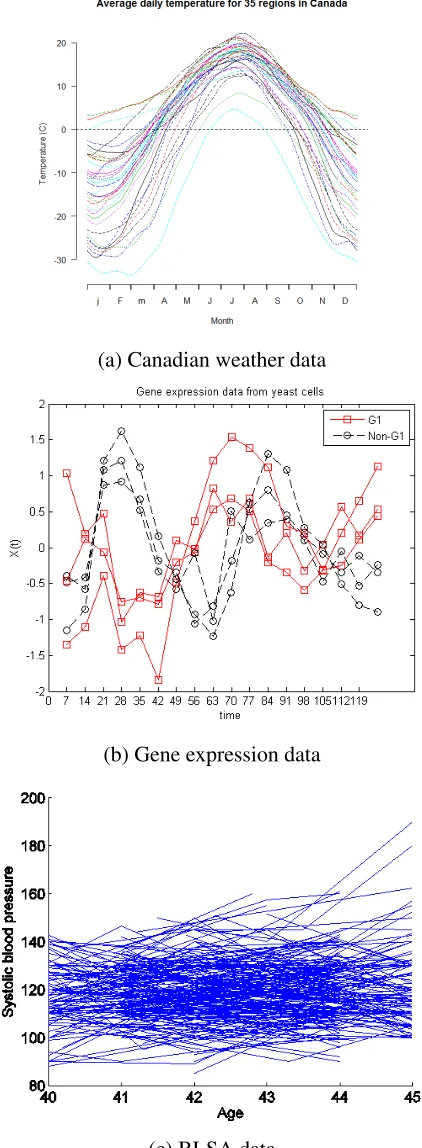 Figure 1.1: Three types of functional data