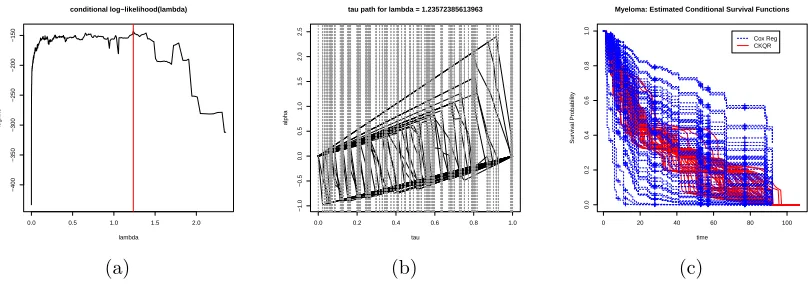 Figure 3.2: The piecewise linear conditional survival function estimator for MyelomaData: the left panel (a) shows cross-validated conditional log-likelihood for diﬀerent λand the (red) vertical line represents the optimal λopt which maximizes the conditionallog-likelihood; in the middle panel (b), solution paths of θˆ1, · · · , θˆ48 as a function τ forthe λopt are depicted; the right panel (c) shows estimated CSF for the ﬁrst 20 patients.