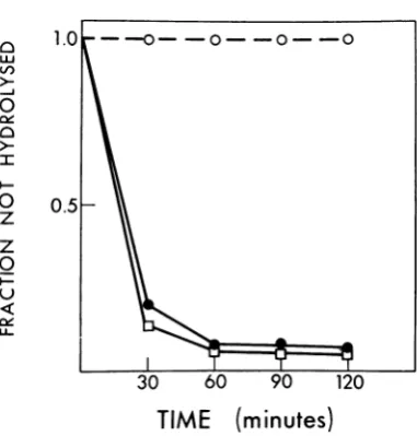 TABLE 5. Effect of RNA concentrationi oni singlestranid-specific nucleases