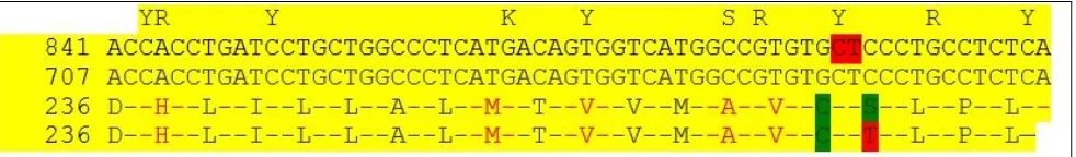 Table 1. Primer Sets that Were Used for Amplification of PTGIR Exons. Specific Primers for 3 Exons of  PTGIR Gene Were Designed from the Intronic Regions Flanking  