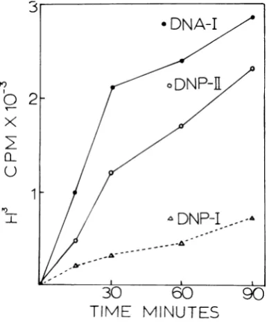 TABLE 1. Template specificity of mammalian DNA-dependent RNA polymerase (RNAP-II)iso-