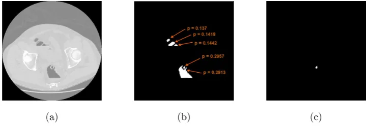 FIG. 3: Examples of the candidate selected by KDE. (a) the CT image, (b) the candidate