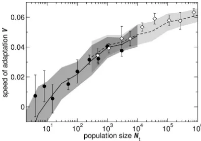 FIG. 2. Initial speed of adaptation, Vwhich were averaged over the ﬁrst 20 passages (Fig