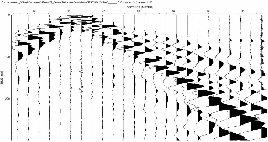 Figure 15b: Traces for shot point 2 of line 13 