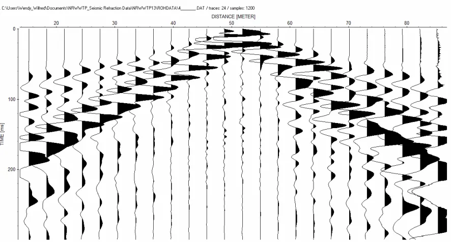 Figure 15e: Traces for shot point 5 of line 13 