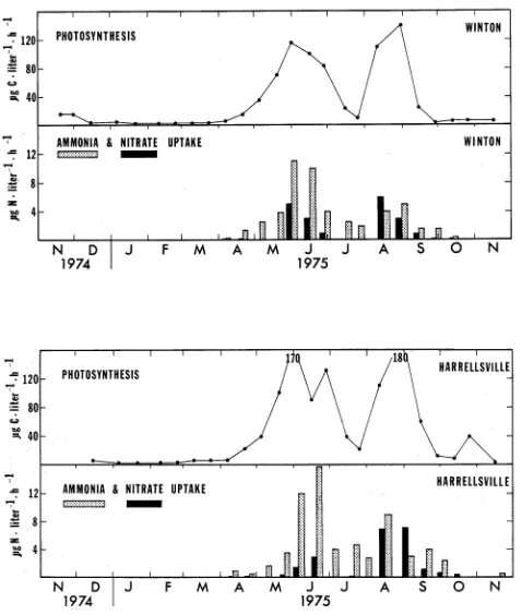 Fig. 12. Midday rates of algal photosynthesis and nitrate and ammonia uptake for surface samples from the Winton and Harrellsville stat ions