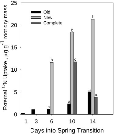 Figure 9.  15N-nitrate uptake efficiency of bermudagrass phytomer tissues maintained through the experiment with old, mixed (old and new), or new root systems