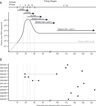 FIG. 1. Laboratory staging of acute and early HIV-1 infections. (A) Temporal appearance of HIV-1-speciﬁc laboratory markers followingHIV-1 infection according to the classiﬁcation system of Fiebig et al