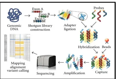 FIGURE 2: ROCHE 454 LIFE SCIENCES SYSTEM 