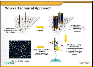 FIGURE 3: ILLUMINA SOLEXA GENOME ANALYZER 