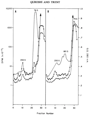 FiG. 3.andwasradioactivity;(A) Effect of ethylenediaminetetraacetic acid (EDTA) on the replication complex