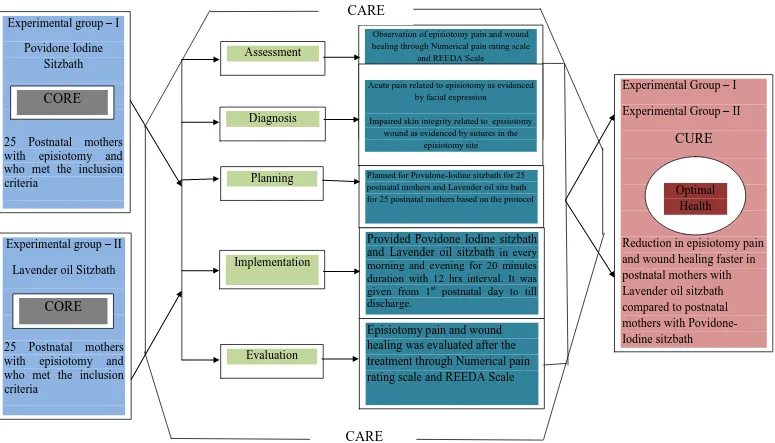 Fig 1.1 Modified Lydia Hall’s Core, Care, Cure Model for Episiotomy Pain Reduction and Enhances Wound Healing 