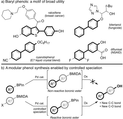 Figure 1. (a) Importance of biaryl phenols. (b) A modular biaryl phenol synthesis enabled by chemoselective boron speciation