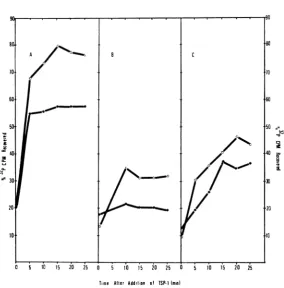FIG. 1.cells(108 Kitnetics of TSP-I adsorptioni and DNA injection. Bacillus subtilis W168 was growti to late log phase cells/ml) antd 32P-labeled TSP-I was added (MOI = 10) to cells grownz at 53 C (A), 37 C (B), and 53 C shifted to 37 C 10 miti before TSP-
