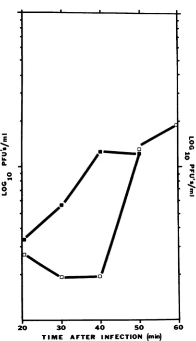 FIG. 4.added3.0-misamplesreplication11the hr hr. Effect of trantsfer from 53 to 37 C oni TSP-I in B