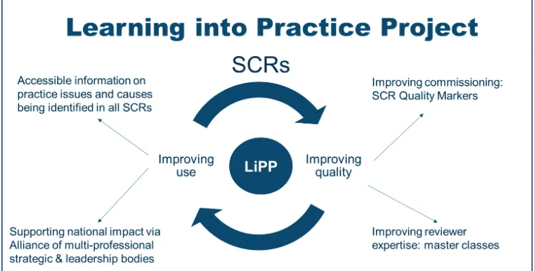 Figure 1: Overview of the LiPP 