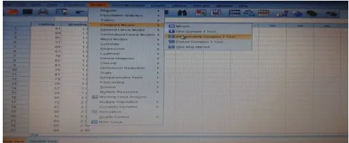 Fig 4: Entering information in SPSS programming 