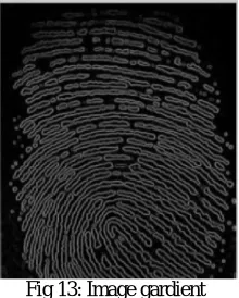 Fig 13: Image gardient 