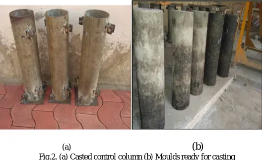 Fig. 1. Reinforcement Detailing of   Control   Column 