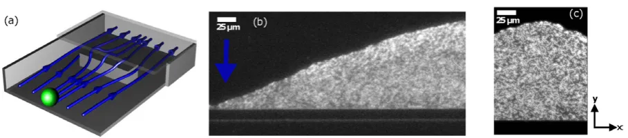 Figure 1. particles and bright regions are brightly ﬂuorescent 710 nm particles. The gray (a) Schematic of channel geometry, not to scale, illustrating barrier with overﬂow