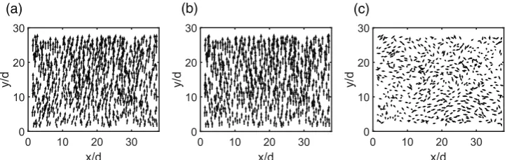 Figure 4. Deformation ﬁeld for a compression given by a pressure change at ydeformation ﬁeld