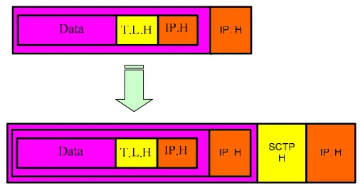 Figure 4-2: SCTP/IP encapsulation mechanisms for ongoing flow under nSCTP structure 