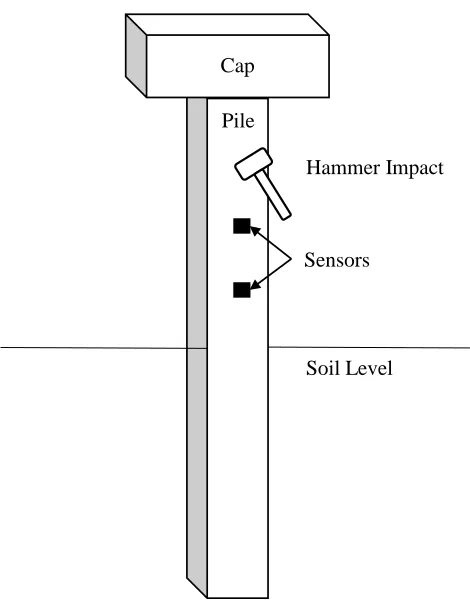 Figure 2-1: Pile and experimental set-up schematic.  