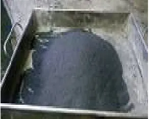 Fig.2 Iron powder 