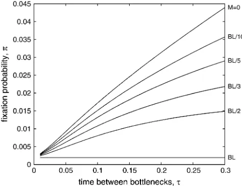 Figure 3.—Fixation probability depends on the time be-