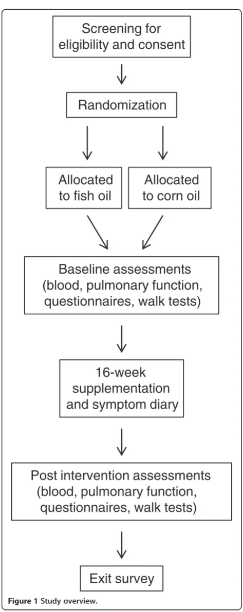 Figure 1 Study overview.