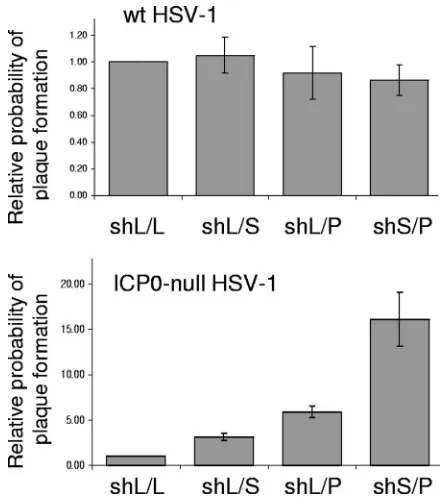 FIG. 3. HF cells depleted of both PML and Sp100 allow a greaterprobability of plaque formation by ICP0-null mutant HSV-1 than do cells