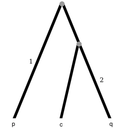 Figure 4.—Phylogenetic tree that shows a possible clonal