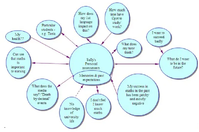 Figure 3. Sally’s macrogenetic model.