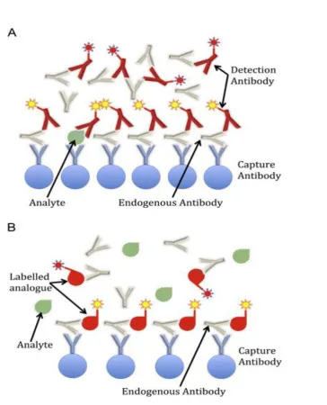 FIG 6 : . Falsely elevated measurements due to interference from heterophile 