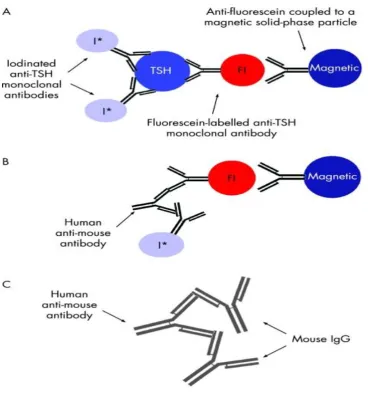FIG 8: .    HAMA interference in TSH assay. 