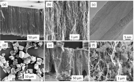 Fig. 2SEM and TEM morphologies of as-synthesized VACNTs (a–c), HKUST-1 (d)and HKUST-1/VACNT hybrid (e and f).