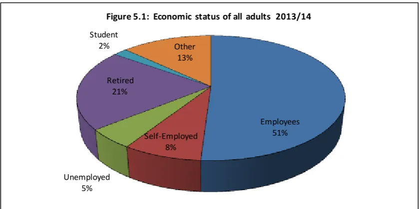 Figure 5.1:  Economic status of all adults  2013/14