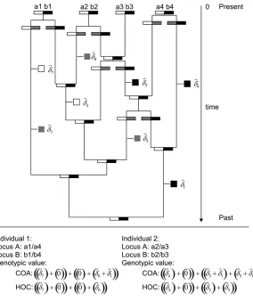 Figure 2 illustrates how a sample of two individuals