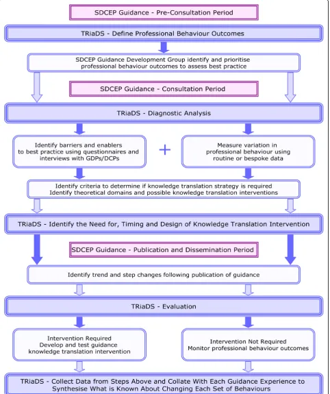 Figure 1 TRiaDS Framework