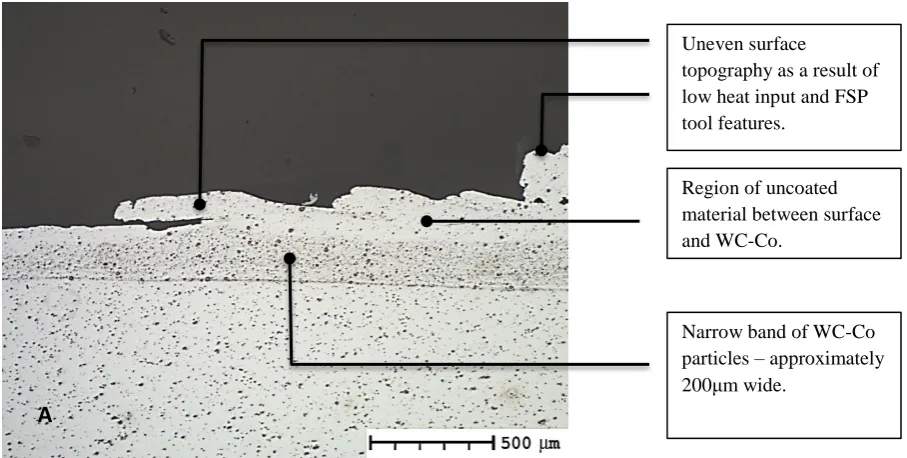 Table 2 – Sample coding system.  Optical Microscopy 