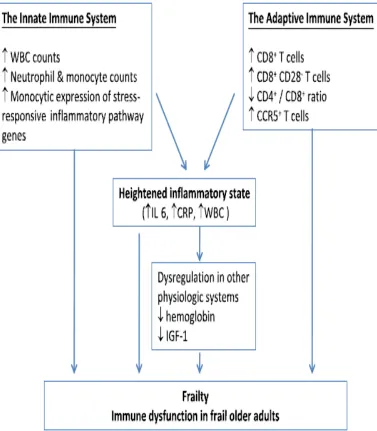 Figure 7 inflammatory and immunologic changes and frailty 