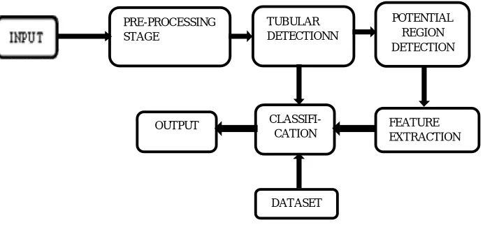 Fig. 1. Architecture of hookworm revelation   